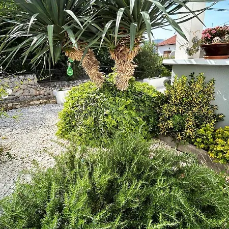 Adriatic Breeze Family