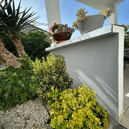 Adriatic Breeze Family *